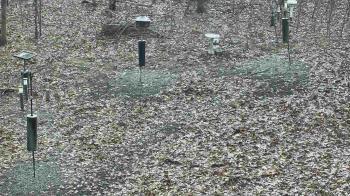 Weather camera view of Cincinnati Nature Center.