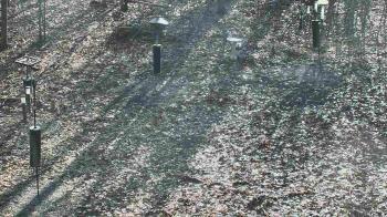 Weather camera view of Cincinnati Nature Center.