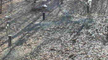Weather camera view of Cincinnati Nature Center.