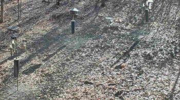 Weather camera view of Cincinnati Nature Center.
