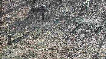 Weather camera view of Cincinnati Nature Center.