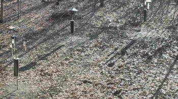 Weather camera view of Cincinnati Nature Center.