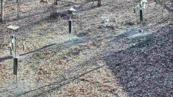 Weather camera view of Cincinnati Nature Center.
