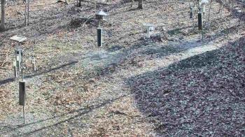 Weather camera view of Cincinnati Nature Center.