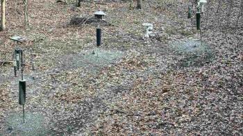 Weather camera view of Cincinnati Nature Center.