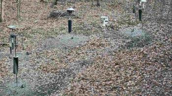 Weather camera view of Cincinnati Nature Center.