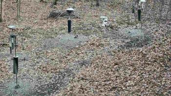 Weather camera view of Cincinnati Nature Center.