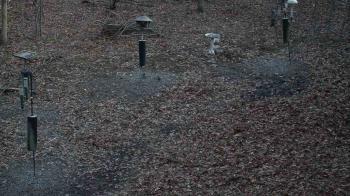 Weather camera view of Cincinnati Nature Center.