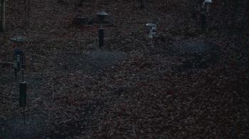 Weather camera view of Cincinnati Nature Center.