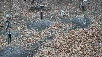 Weather camera view of Cincinnati Nature Center.