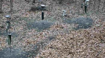 Weather camera view of Cincinnati Nature Center.