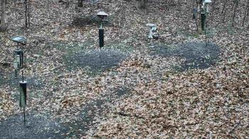 Weather camera view of Cincinnati Nature Center.