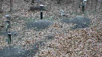 Weather camera view of Cincinnati Nature Center.