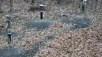 Weather camera view of Cincinnati Nature Center.