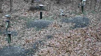 Weather camera view of Cincinnati Nature Center.