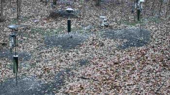 Weather camera view of Cincinnati Nature Center.