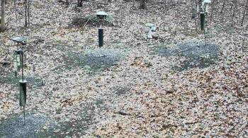 Weather camera view of Cincinnati Nature Center.