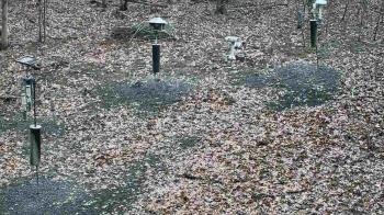 Weather camera view of Cincinnati Nature Center.