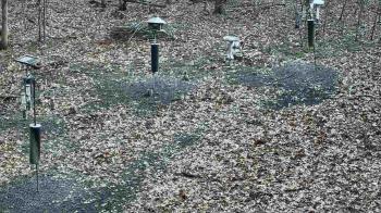 Weather camera view of Cincinnati Nature Center.