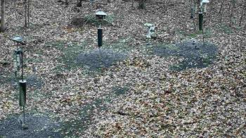 Weather camera view of Cincinnati Nature Center.