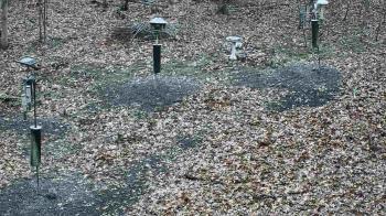 Weather camera view of Cincinnati Nature Center.