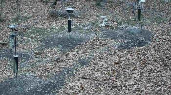 Weather camera view of Cincinnati Nature Center.