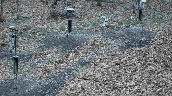 Weather camera view of Cincinnati Nature Center.