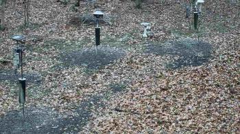 Weather camera view of Cincinnati Nature Center.