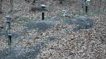 Weather camera view of Cincinnati Nature Center.