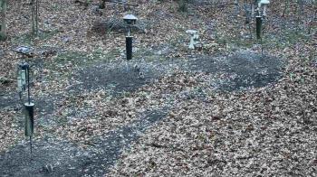 Weather camera view of Cincinnati Nature Center.