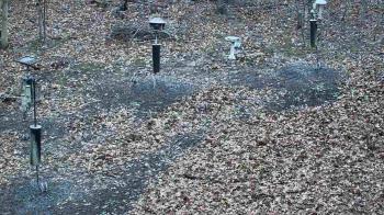 Weather camera view of Cincinnati Nature Center.