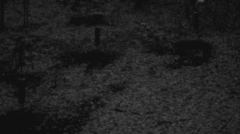 Weather camera view of Cincinnati Nature Center.