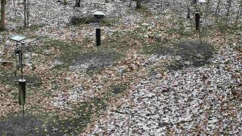 Weather camera view of Cincinnati Nature Center.