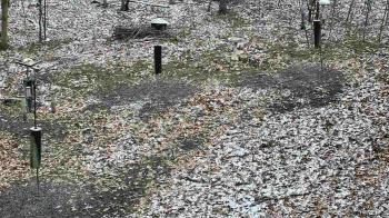 Weather camera view of Cincinnati Nature Center.