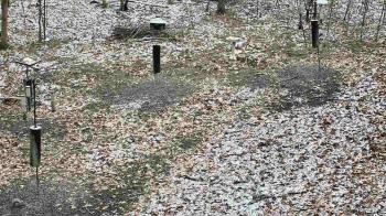 Weather camera view of Cincinnati Nature Center.