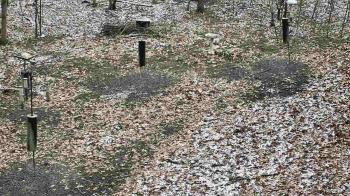Weather camera view of Cincinnati Nature Center.