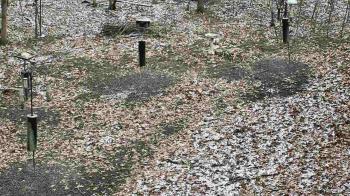 Weather camera view of Cincinnati Nature Center.