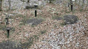 Weather camera view of Cincinnati Nature Center.