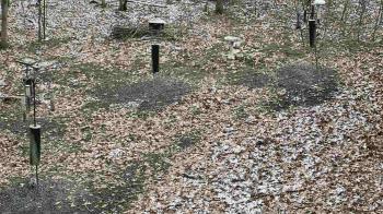 Weather camera view of Cincinnati Nature Center.