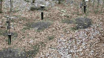 Weather camera view of Cincinnati Nature Center.