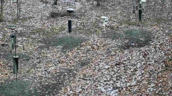 Weather camera view of Cincinnati Nature Center.