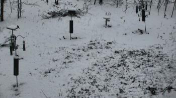 Weather camera view of Cincinnati Nature Center.