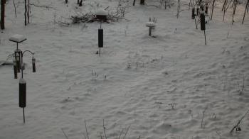 Weather camera view of Cincinnati Nature Center.