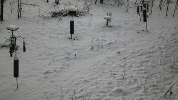 Weather camera view of Cincinnati Nature Center.