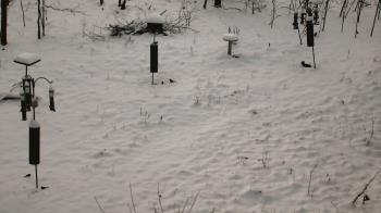 Weather camera view of Cincinnati Nature Center.