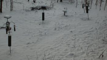 Weather camera view of Cincinnati Nature Center.