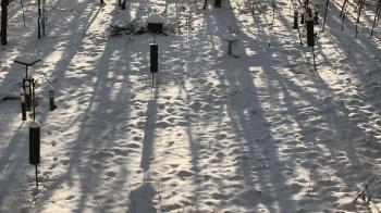 Weather camera view of Cincinnati Nature Center.