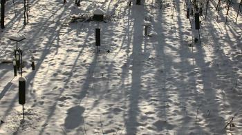 Weather camera view of Cincinnati Nature Center.