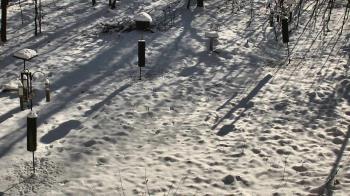 Weather camera view of Cincinnati Nature Center.