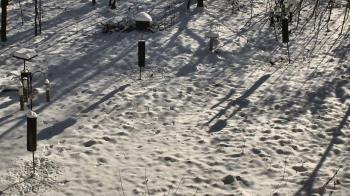 Weather camera view of Cincinnati Nature Center.